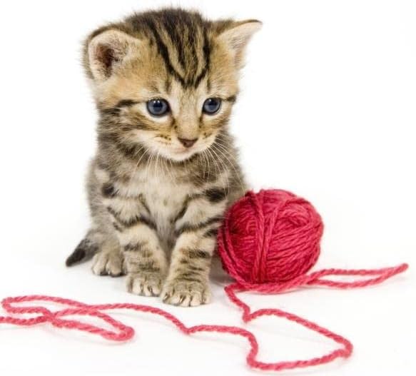 Kondoos Colored Natural Wool roving, 1 lb. Best Wool for Needle Felting, Wet Felting, handcrafts and Spinning. (Red, 1 lb)