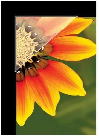 Lineco Archival Polypropylene Mounting Corners, Acid-Free Self-Adhesive, 0.5 Inch, Displaying Artwork Certificates Pictures (Pack of 240) Clear