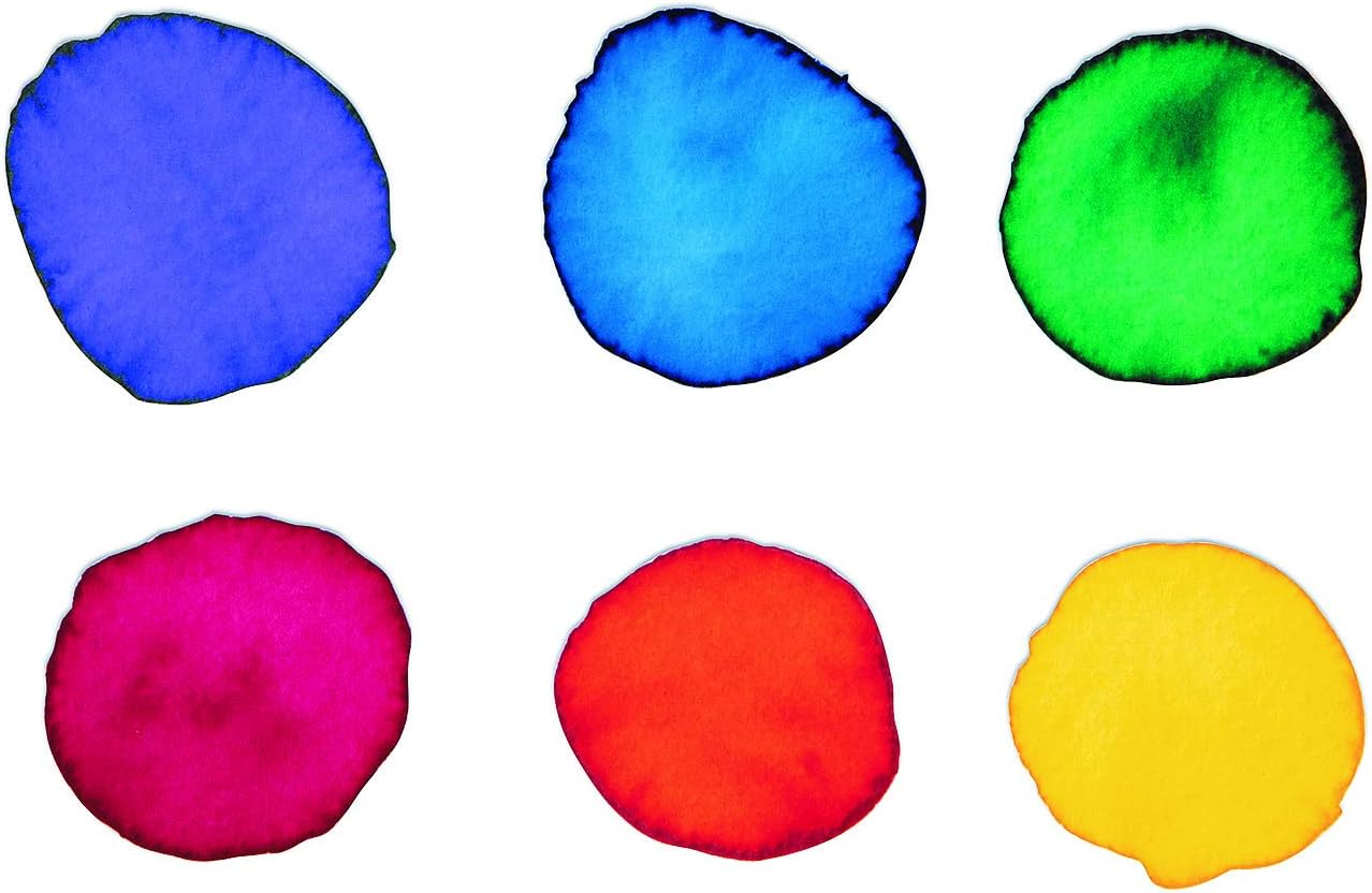 S&S Worldwide Color Splash! Liquid Watercolor Paint, 6 Vivid Colors, 1-oz Drip-Dispense Bottles, For All Watercolor Painting, Use to Tint Slime, Clay, Glue, Shaving Cream, Non-Toxic. Pack of 6.