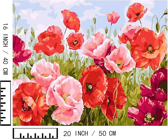 BAISITE Paint by Numbers Kit for Adults Beginners,20" Wx16 L Canvas for Painting Kits for Adults in Colorful Box Poppy Flowers-BSC001