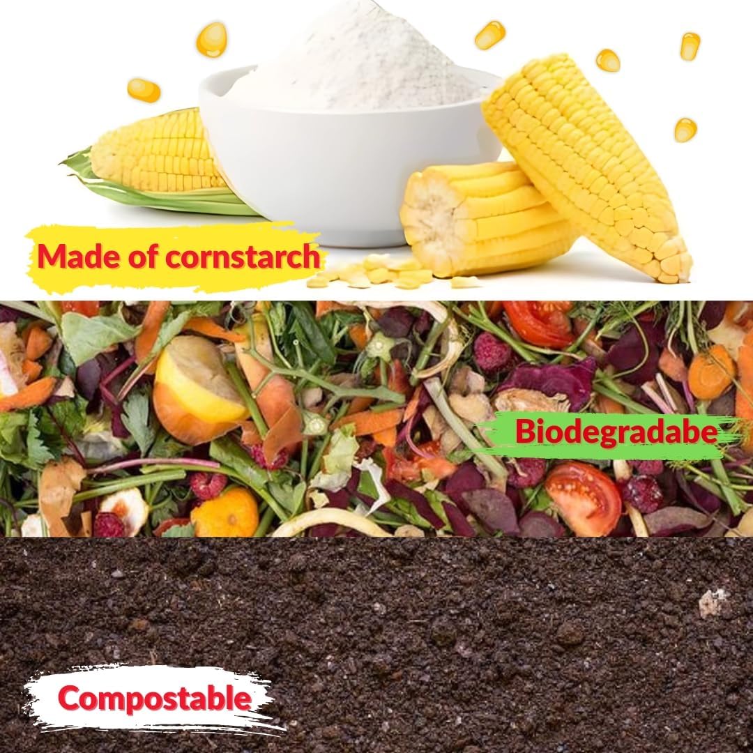 Natural 14‑Color Holi Powder Pack – 14 x 75 gm Washable Non‑Toxic Chalk Color for Fun Runs Festivals Photo Shoots Marathons & Gender Reveals colour wars kids animal photography party gulal