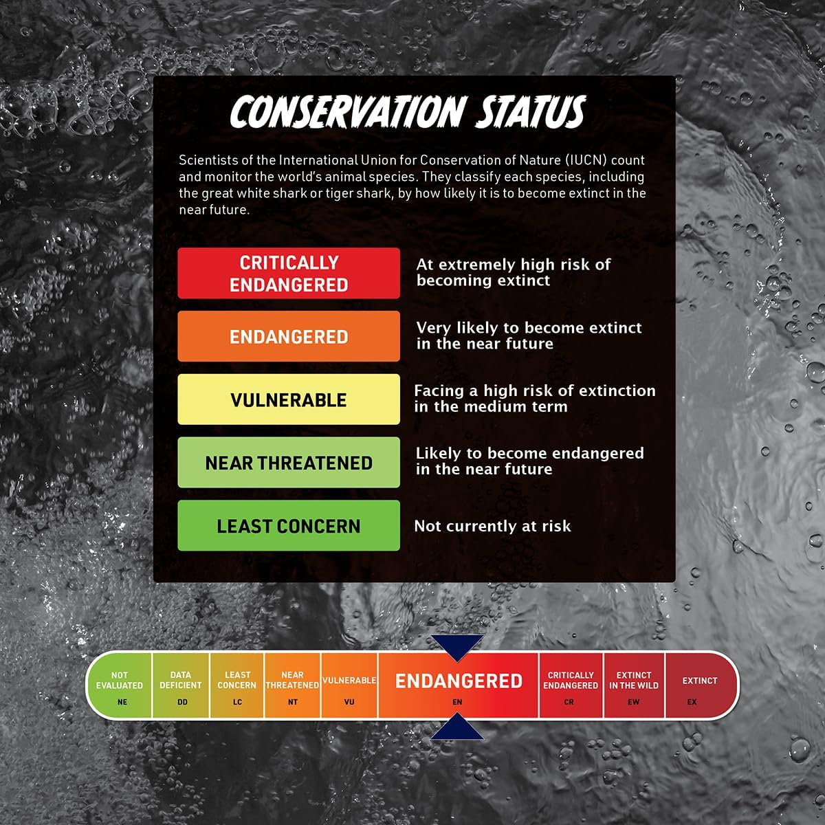 Abacus Brands STEAM Shark Lab VR - Illustrated Interactive VR Book and STEAM Learning Activity Set - for Ages 8 and Up