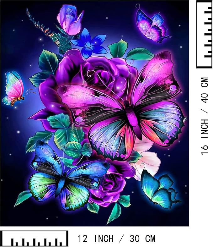 BAISITE Paint by Numbers Kit for Adults Beginners,12" Wx16 L 2 Pack Canvas for Painting Kits for Adults in Colorful Box 5152 Already Framed