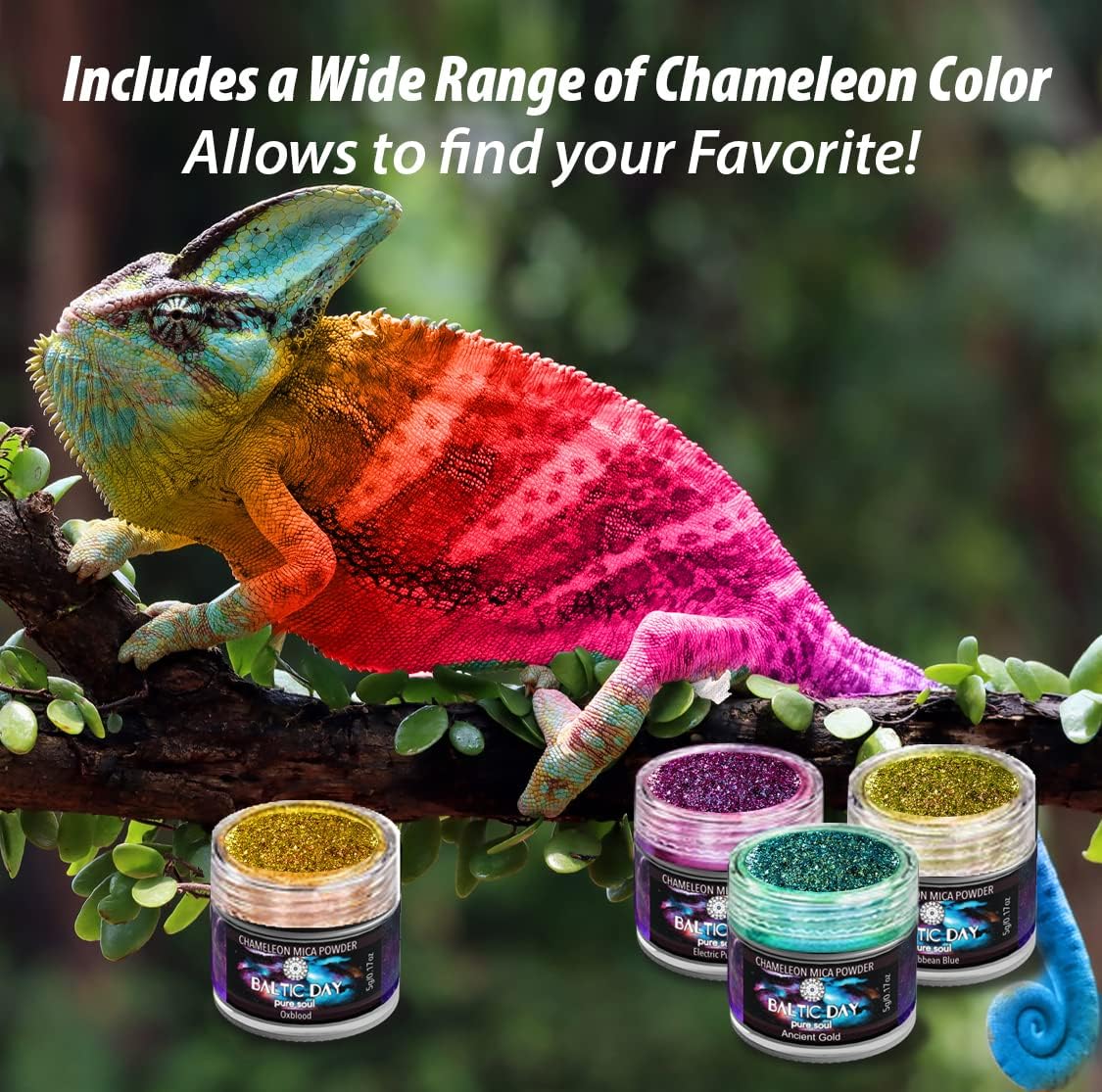 BALTIC DAY - Chameleon Mica Powder, 4 Jars of Color Shift Mica Powder Set - Epoxy Resin Color Pigment Powder - Chameleon Powder - Holographic Mica Powder