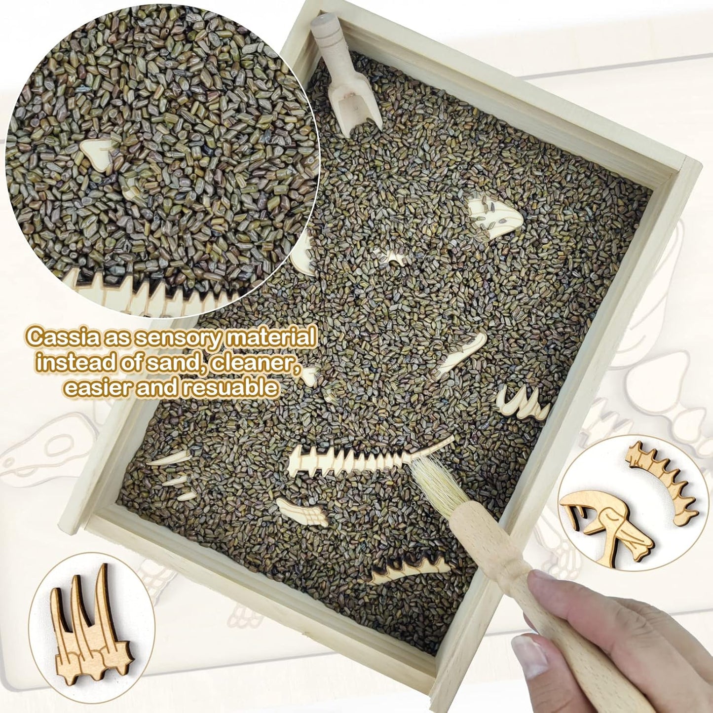Dinosaur Excavation Archaeology Dig Kit for Kids, Fossil Explore Sensory Bin Toys, Dino Skeletons Bones Puzzle Game, Archaeology Science STEM Toys for Boys and Girls (Stegosaurus)