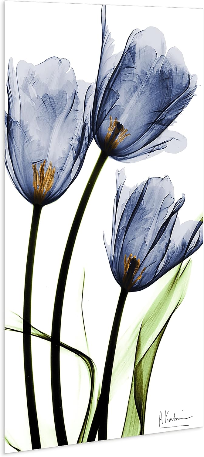 Empire Art Direct Frameless Free Floating Tempered Glass Panel Graphic Wall Art Ready to Hang, 24" x 48", Three Blue Tulips, Flower wall art