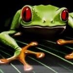 Tombow 56168 Dual Brush Pen Art Markers, Secondary, 10-Pack. Blendable, Brush and Fine Tip Markers