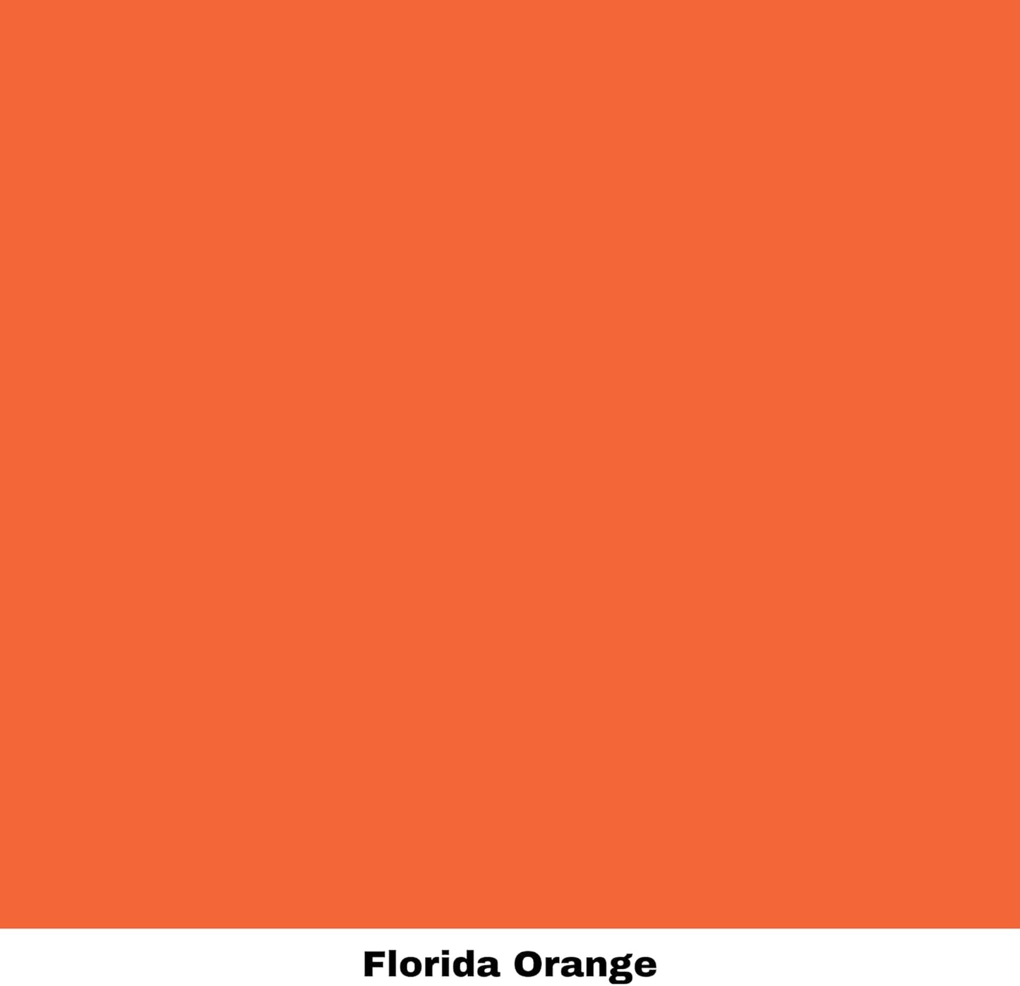 Dixie Belle Paint Company Chalk Finish Furniture Paint - Florida Orange (4oz) - Matte Bright Orange Chic Chalk Mineral DIY Furniture Paint