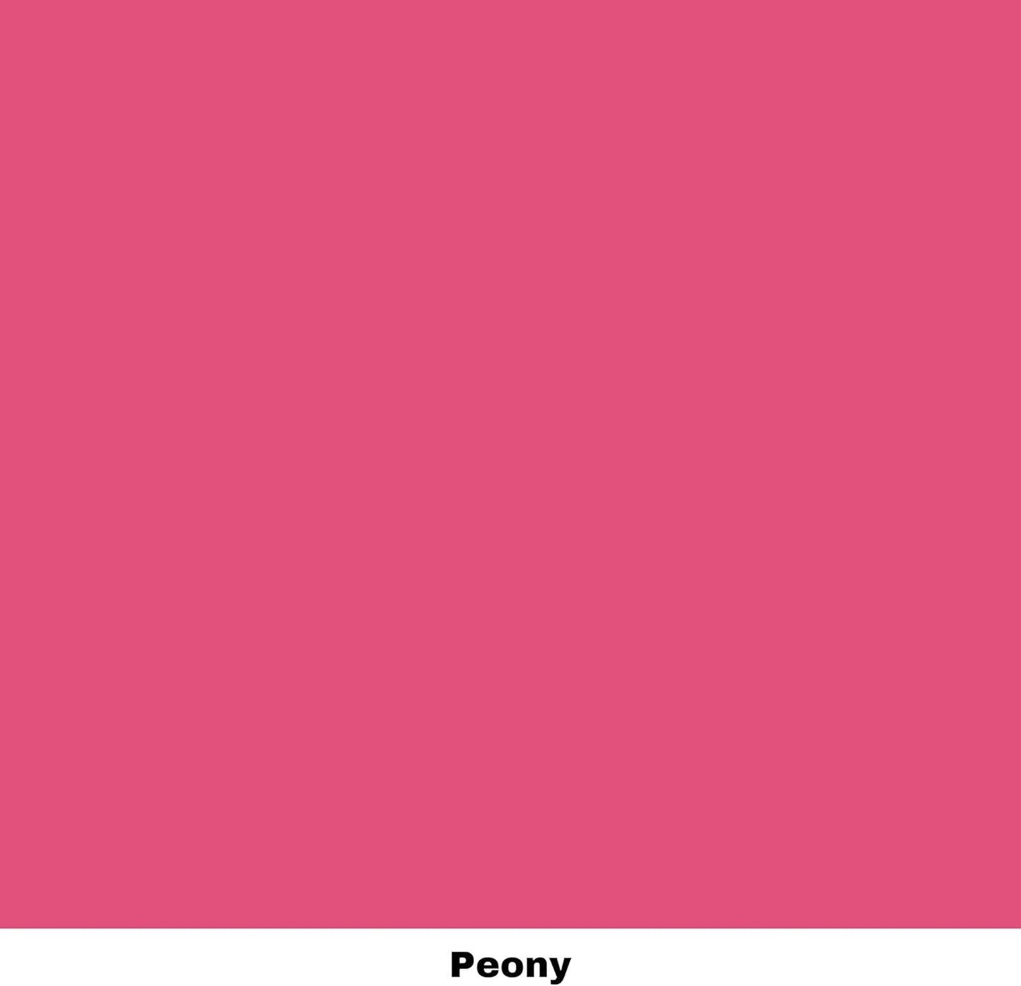 Dixie Belle Paint Company Chalk Finish Furniture Paint - Peony (4oz) - Matte Hot Pink Chic Chalk Mineral DIY Furniture Paint