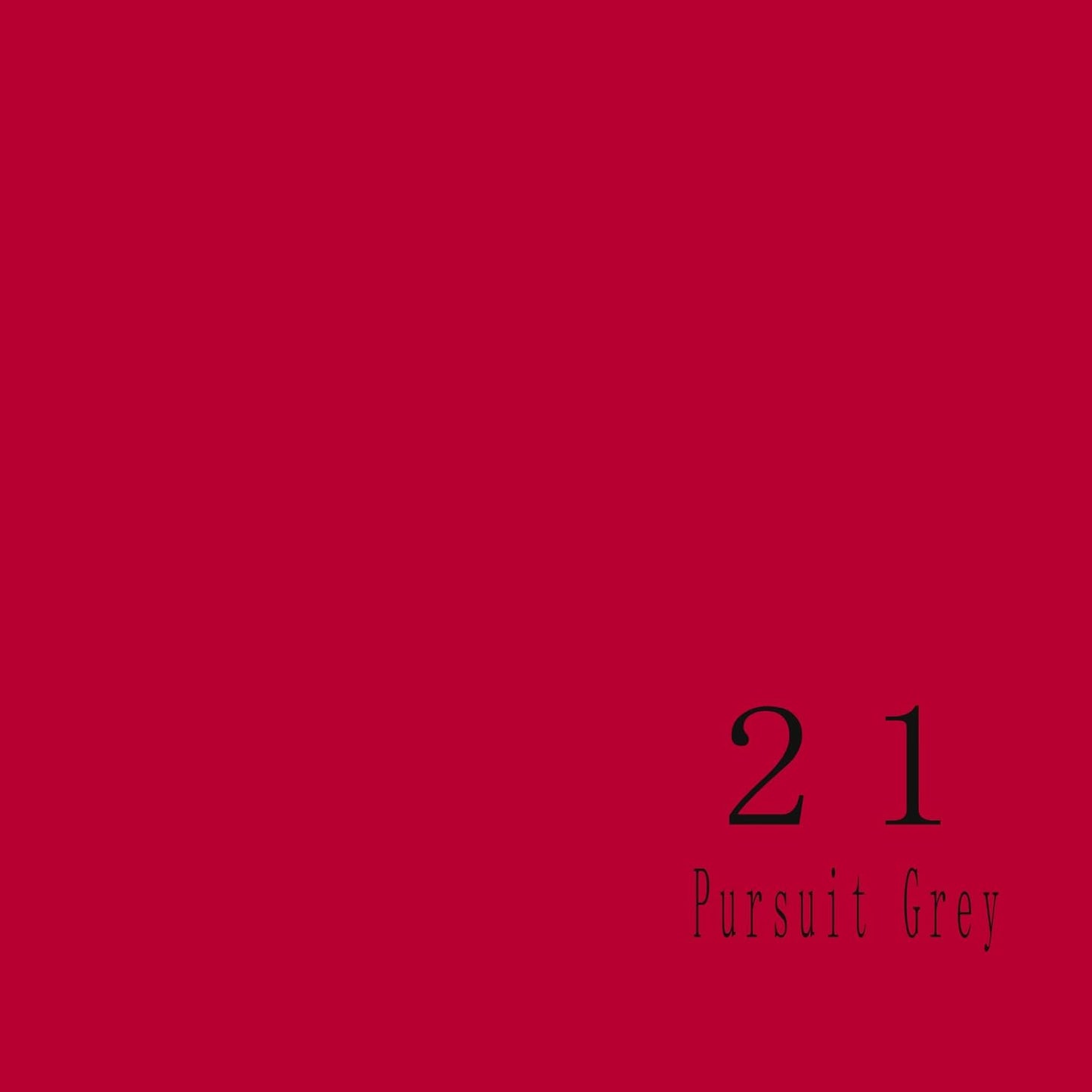 Huamei Seamless Photography Background Paper, Photo Backdrop Paper 53 Inches Wide x 16 Feet, (4.4x16 Feet) (Flame)