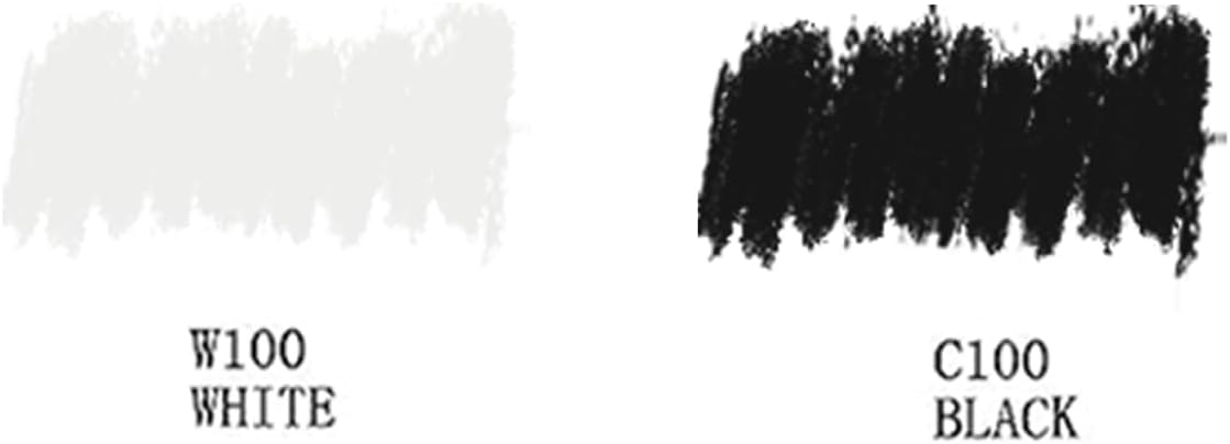 Artecho Oil Pastels Set of 12 PCS, 6 White and 6 Black, Crayons for Art Painting, Drawing, Blending (10 x 70 mm)