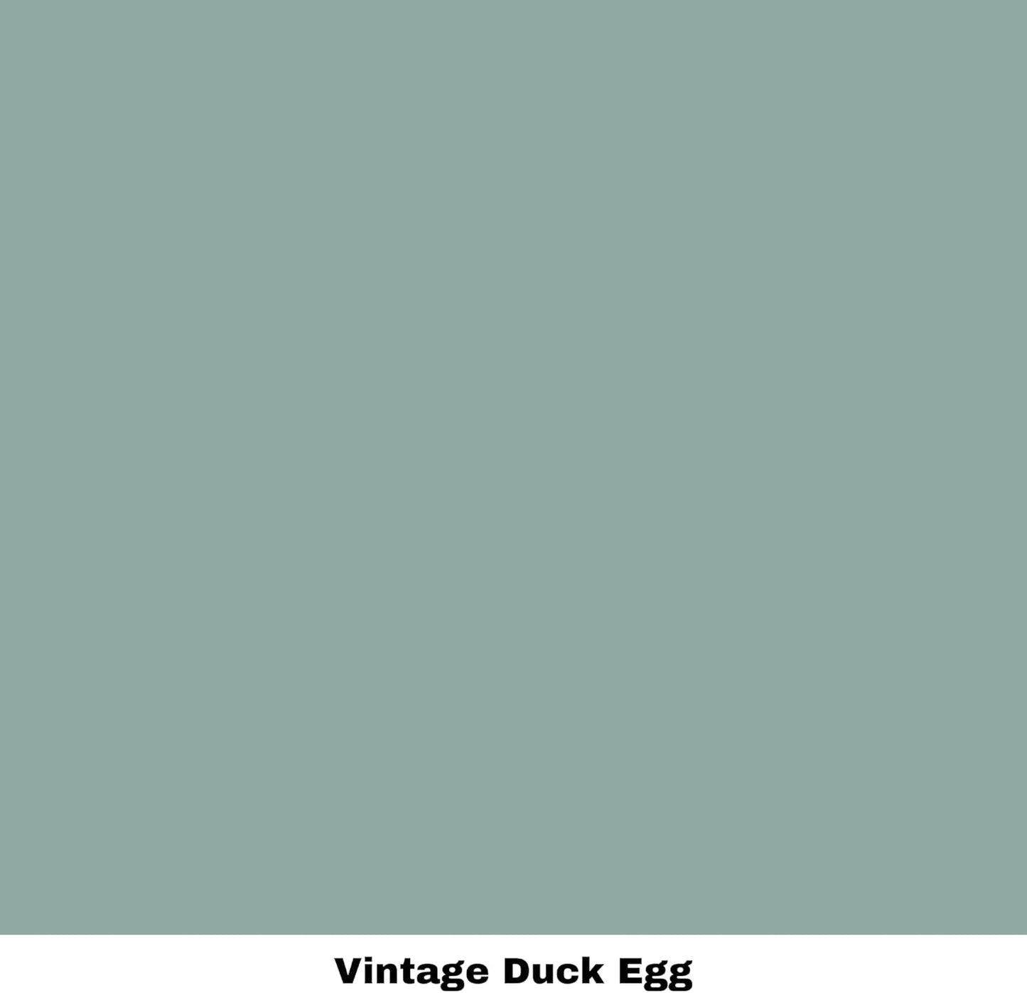 Dixie Belle Paint Company Chalk Finish Furniture Paint - Vintage Duck Egg (4oz) - Matte Light Blue Chic Chalk Mineral DIY Furniture Paint