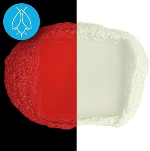 Glow in The Dark Pigment Powder - Neutral and Fluorescent Color for Art Painting, Fine Art, Nail Art Paint, and DIY Crafts - Long Lasting, 10+ Color Options - Neutral Red (120 Grams/4 Ounces)