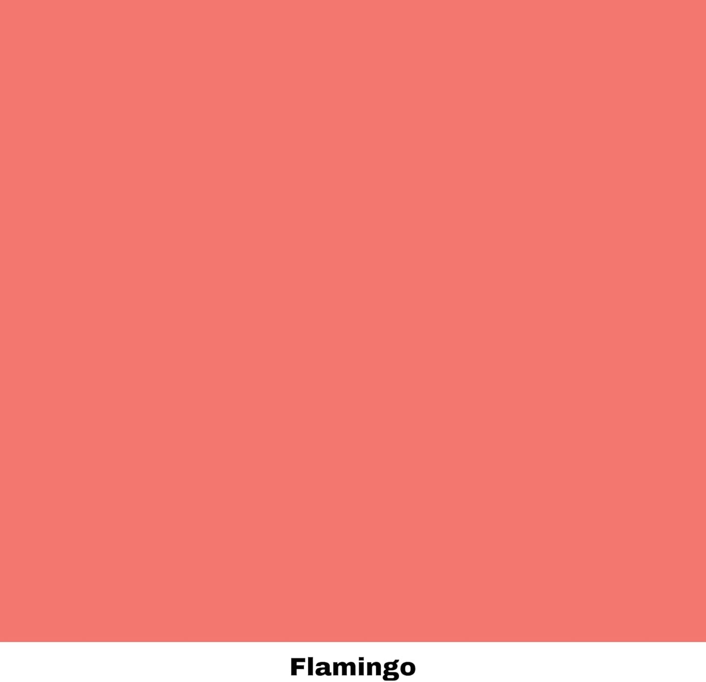 Dixie Belle Paint Company Chalk Finish Furniture Paint - Flamingo (16oz) - Matte Bright Coral Chic Chalk Mineral DIY Furniture Paint