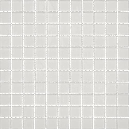 1"x1" Light Gray Matte Finished Glass Mosaic Tile (Sample Swatch- 5"x4")
