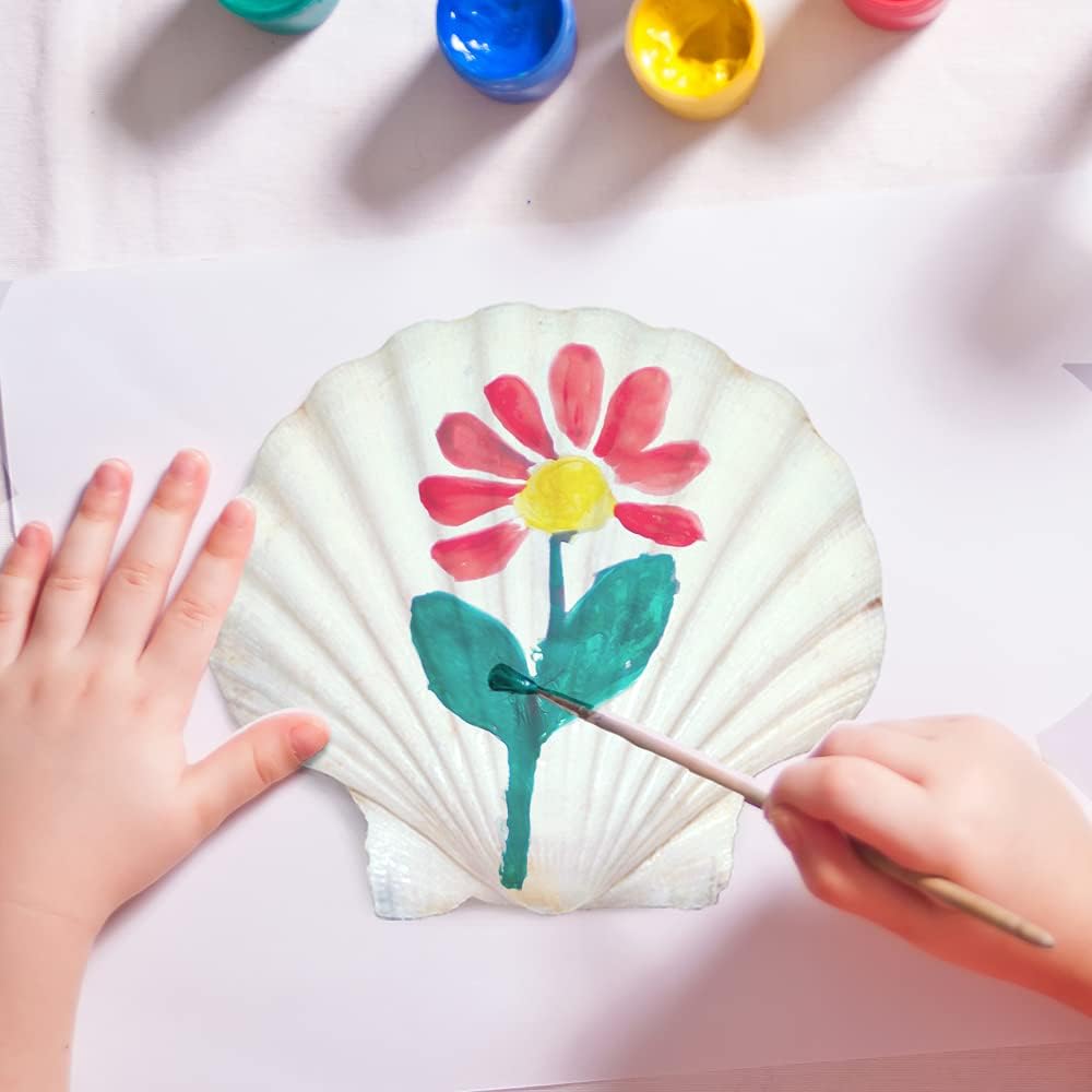 6PCS Scallop Shells for Serving Food,Baking Shells Large Natural White Scallops from Sea Beach for DIY Craft Decor 4-5 Inches