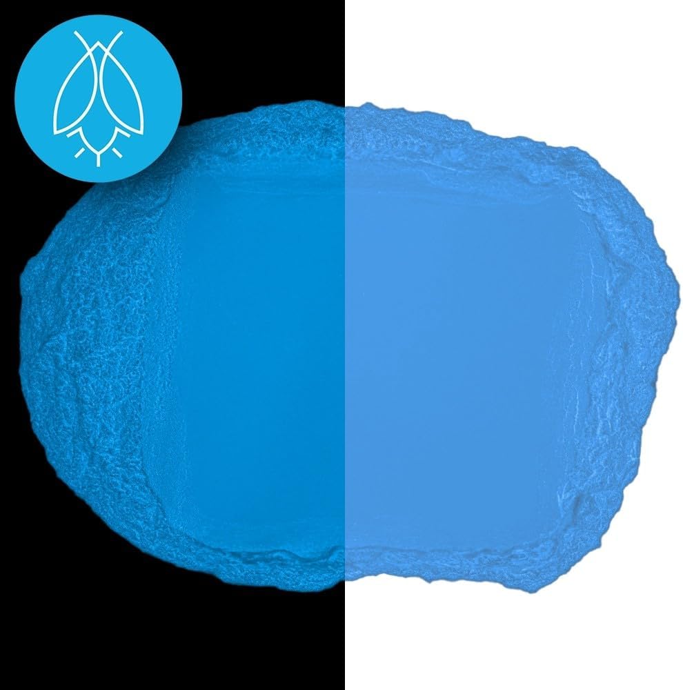 Glow in The Dark Pigment Powder - Neutral and Fluorescent Color for Art Painting, Fine Art, Nail Art Paint, and DIY Crafts - Long Lasting 10+ Color Options - Fluorescent Blue - (1 Kilogram)