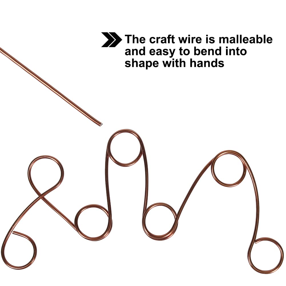 Tenn Well 12 Gauge Aluminum Wire, 100 Feet 2mm Bendable Craft Wire for Bonsai Training, Floral Making, Sculpting, Armature, Jewelry Making (Bronze)