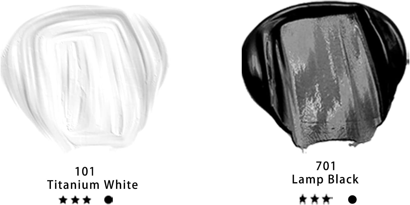 Artecho Professional Acrylic Paint, White and Black (120ml / 4.05oz) Tubes, Art Craft Paints for Canvas, Rock, Stone, Wood, Fabric, Art Supplies