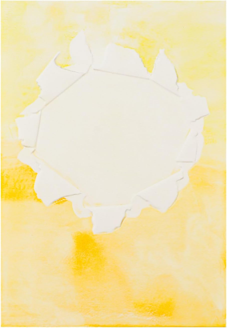 BAOFALI 3D Embossing Folder for Card Making,Hollow Flower Plastic Texture Fades Embossing Folder Template for Scrapbooking Cardstock Album DIY Decoration Paper Crafting 6.3x4.5inch