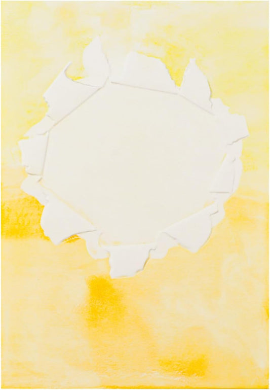 BAOFALI 3D Embossing Folder for Card Making,Hollow Flower Plastic Texture Fades Embossing Folder Template for Scrapbooking Cardstock Album DIY Decoration Paper Crafting 6.3x4.5inch