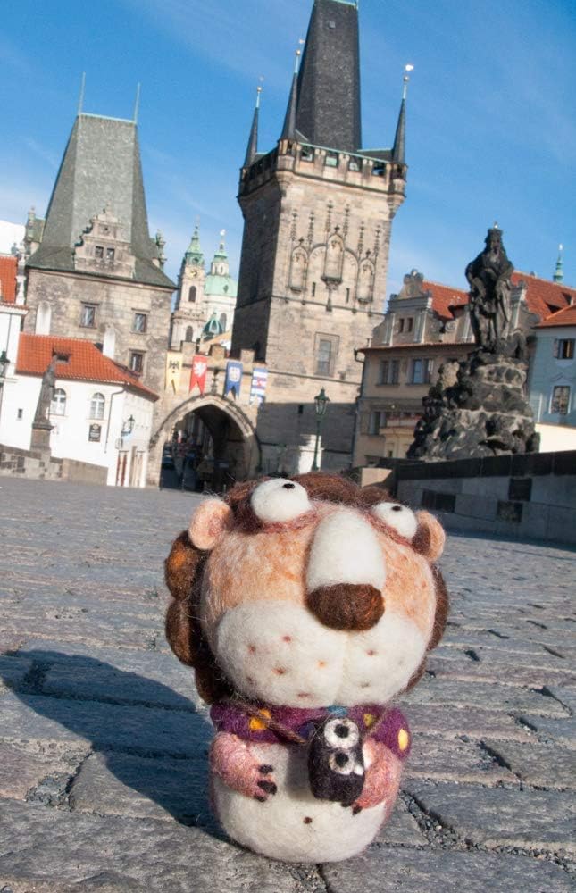 Woolbuddy Needle Felting Wool, Natural Handmade Wool Roving, 6 Vibrant Colors with Instructions (Wool Bag Summer)