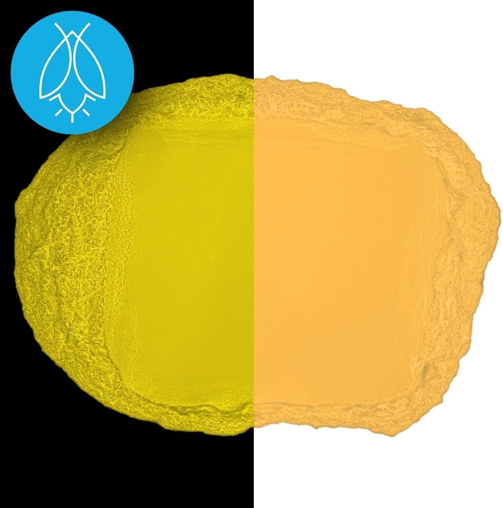 Glow in The Dark Pigment Powder - Neutral and Fluorescent Color for Art Painting, Fine Art, Nail Art Paint, and DIY Crafts - Long Lasting, 10+ Color Options - Fluorescent Orange - (60 Grams/ 2.12 oz)