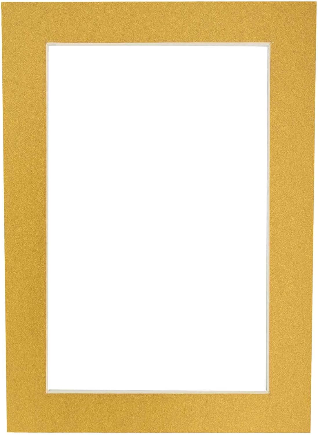 8x10 Mat Bevel Cut for 5.5x8.5 Photos - Acid Free Metallic Gold Precut Matboard With Backing Board and Crystal Clear, Self Seal Photo Mat Bag - For Pictures, Photos, Framing - 4-ply Thickness