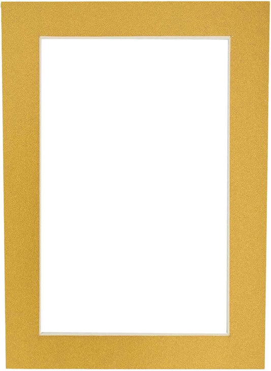8x10 Mat Bevel Cut for 5.5x8.5 Photos - Acid Free Metallic Gold Precut Matboard With Backing Board and Crystal Clear, Self Seal Photo Mat Bag - For Pictures, Photos, Framing - 4-ply Thickness