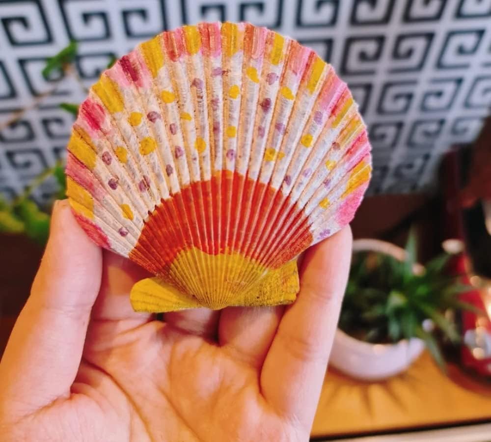 Colorful 50+ Pcs Scallop Shell Natural Mixed Color Seashells for Fish Tank Home Decorations Beach Theme Party Candle Making Wedding Decor DIY Crafts Vase Fillers