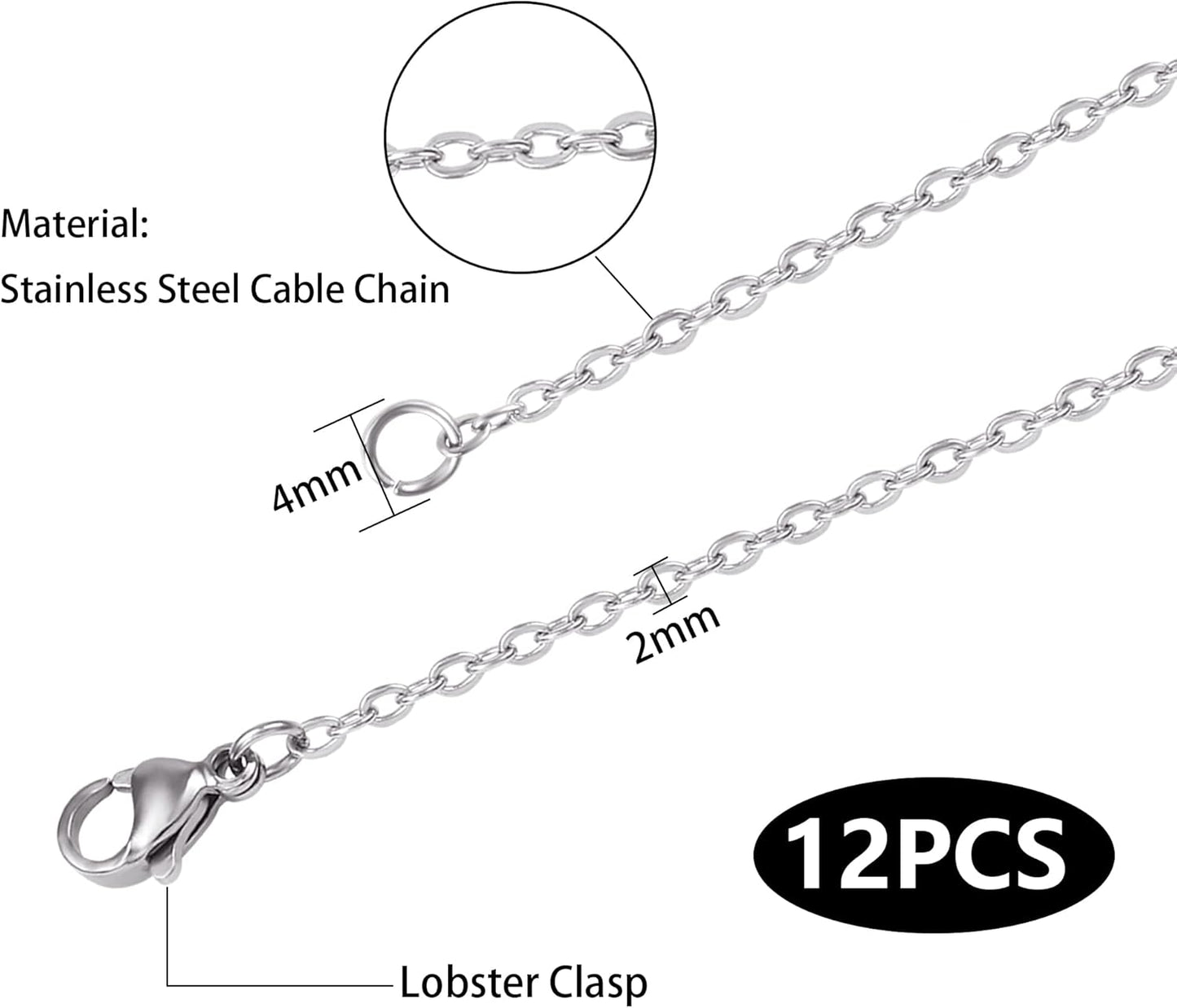 Wholesale 12 PCS Stainless Steel Flat Cable Chain Link Necklace Chains Bulk for Jewelry Making (20 Inch(2MM))