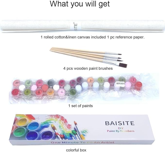 BAISITE Paint by Numbers Kit for Adults Beginners,20" Wx16 L Canvas for Painting Kits for Adults in Colorful Box Poppy Flowers-BSC001
