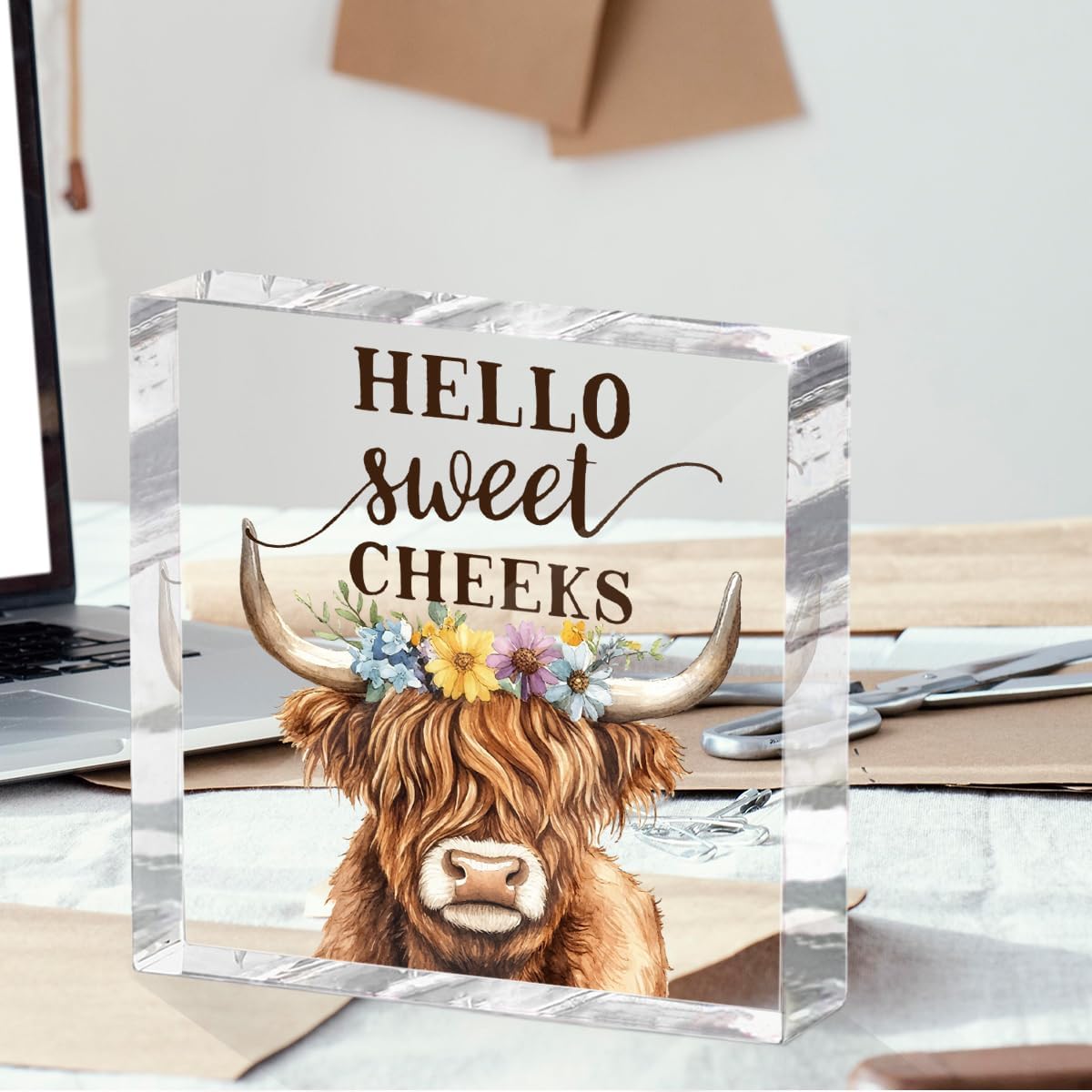 Funny Cow Decorative Signs, Rustic Western Animal with Wreath Office Desk Decor Acrylic Sign 4x4 Inch, Desk Accessories Signs for Bathroom Cubicle Farmhouse Kitchen, Cow Gifts