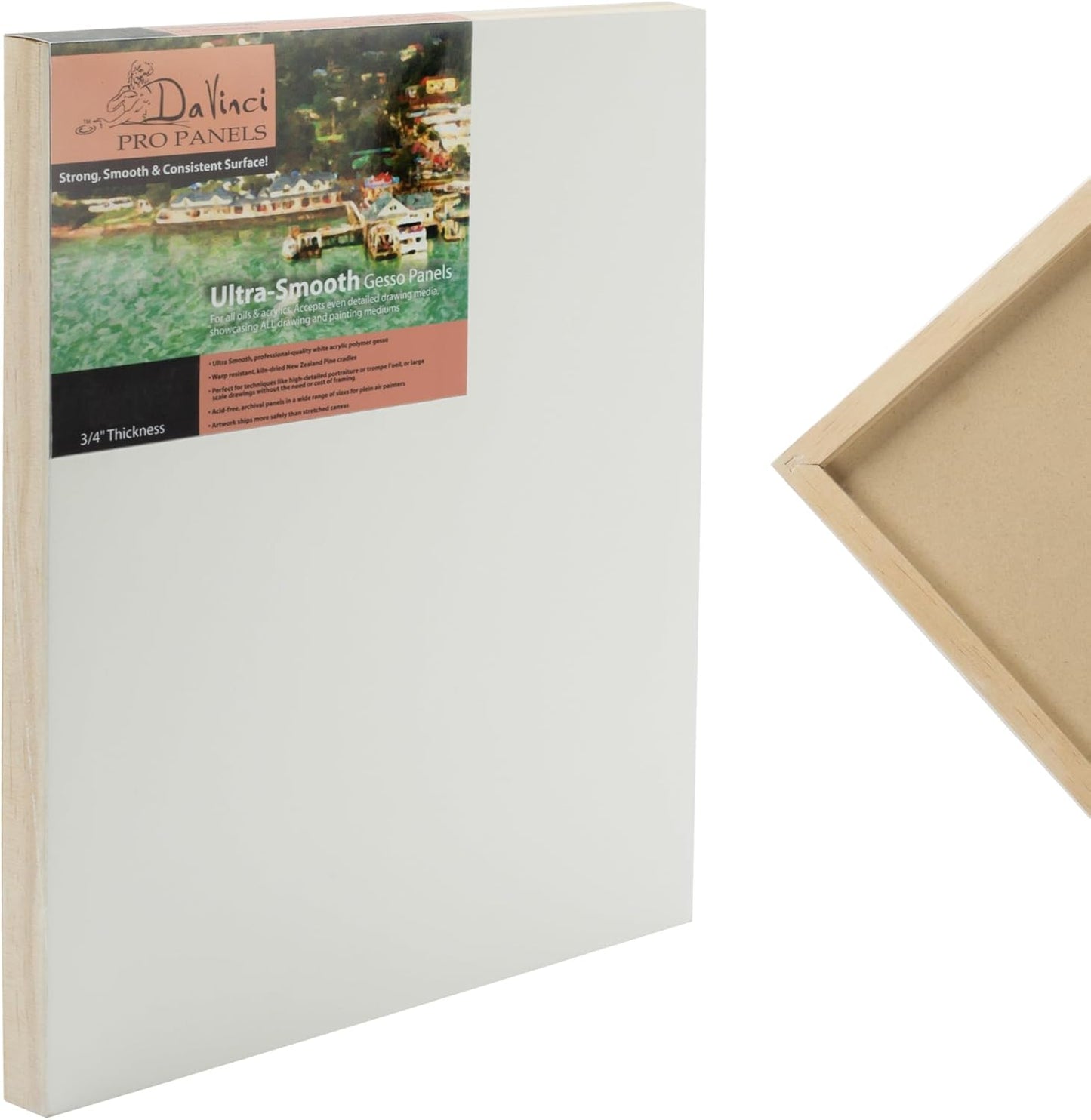 Da Vinci Pro Ultra Smooth Wood Canvas Gesso Board - 3/4" Deep, 16x20 Single White Acrylic Polymer Gesso Panels for Painting Fine Portraits and Ultra Fine Detail Illustrations and Artwork