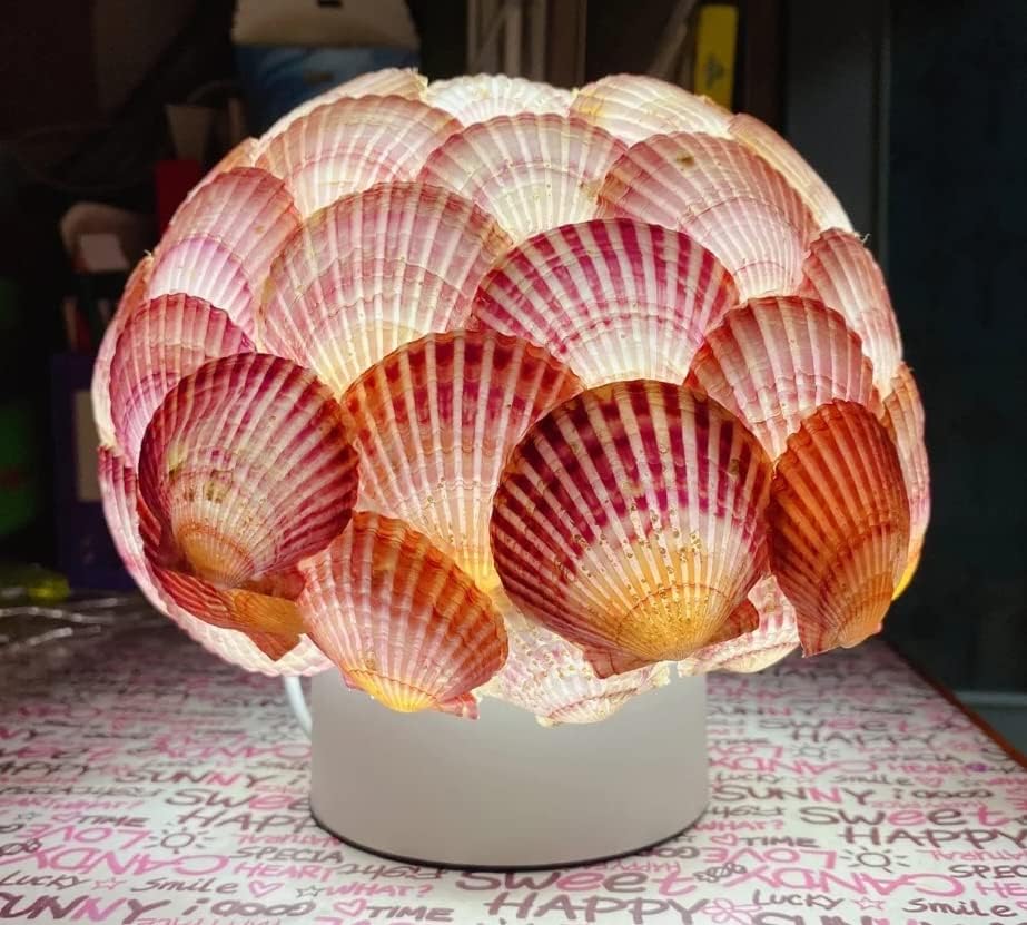 Colorful 50+ Pcs Scallop Shell Natural Mixed Color Seashells for Fish Tank Home Decorations Beach Theme Party Candle Making Wedding Decor DIY Crafts Vase Fillers