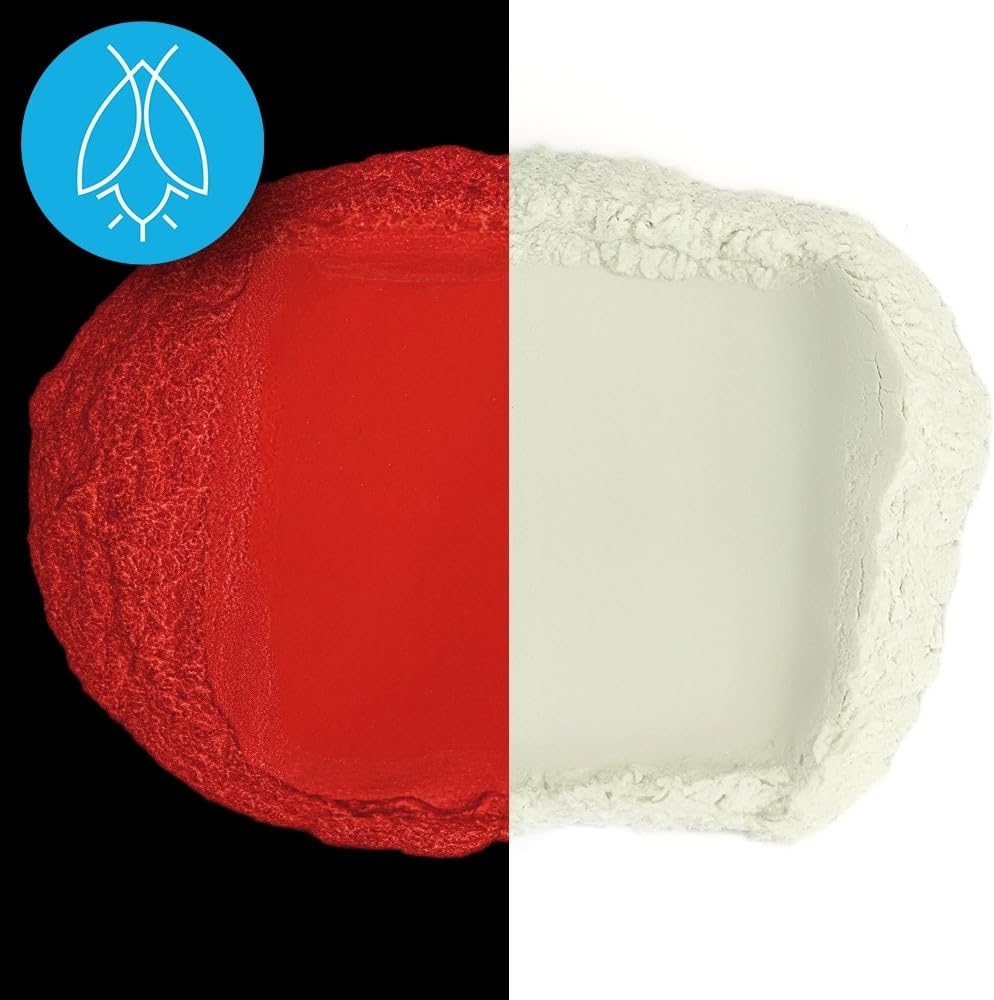 Glow in The Dark Pigment Powder - Neutral and Fluorescent Color for Art Painting, Fine Art, Nail Art Paint, and DIY Crafts - Long Lasting, 10+ Color Options - Neutral Red - (12 Grams/ .42oz)