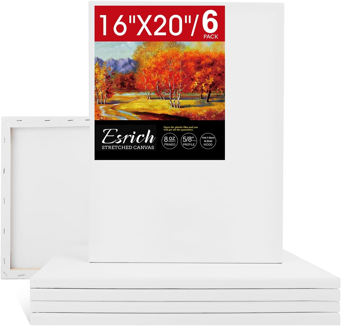 ESRICH Stretched Canvas for Painting 16x20 Inch, 6Pack Large Canvas for Painting, Primed Acid-Free Cotton Blank Canvases, Art Paint Canvases for Oil Paint,Watercolor,Acrylic Paint,Gouache and Tempera.