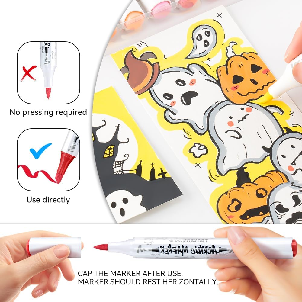 TRANSON 12 Colors Chisel and Brush Dual-tip Acrylic Paint Marker Pen Set for Canvas Rock Wood Leather Ceramic DIY Painting