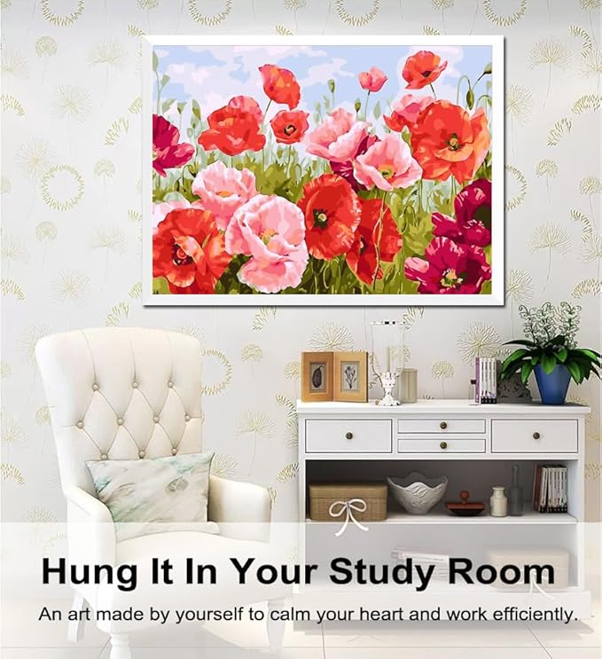 BAISITE Paint by Numbers Kit for Adults Beginners,20" Wx16 L Canvas for Painting Kits for Adults in Colorful Box Poppy Flowers-BSC001