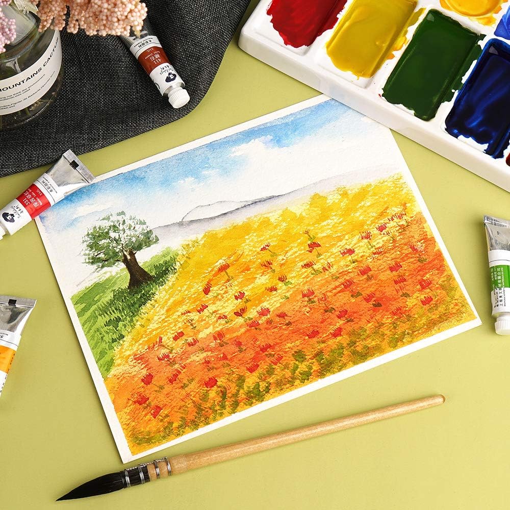 Paul Rubens Watercolor Paint, 36 Vibrant Colors Rich Pigments for Watercolor Painters, Students, Beginners, Hobbyist, Ideal for Many Watercolor Applications (5ml Each Tube)