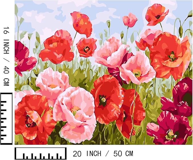 BAISITE Paint by Numbers Kit for Adults Beginners,20" Wx16 L Canvas for Painting Kits for Adults in Colorful Box Poppy Flowers-BSC001-Already Stretched on a Wooden Frame