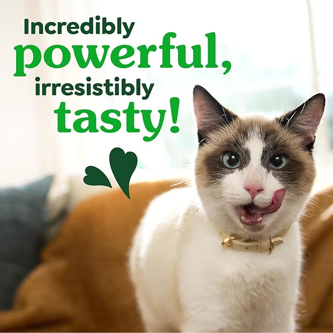 Greenies Feline Veterinarian-Recommended Adult Natural Dental Cat Treats, Tempting Tuna Flavor, 4.6 oz. Pouch