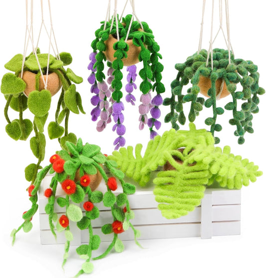 OEHPICC Needle Felting Kit, 5 Pack Hanging Plants Needle Felt Beginner Kit, Including Basic Felting Tools, Instructions, Felt Craft Kit for Indoor Outdoor Office and Home Decor