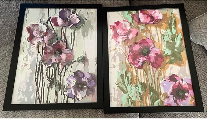 BAISITE Paint by Numbers Kit for Adults Beginners,16" Wx20 L 2 Pack Canvas for Painting Kits for Adults in Colorful Box 6566 Already Framed