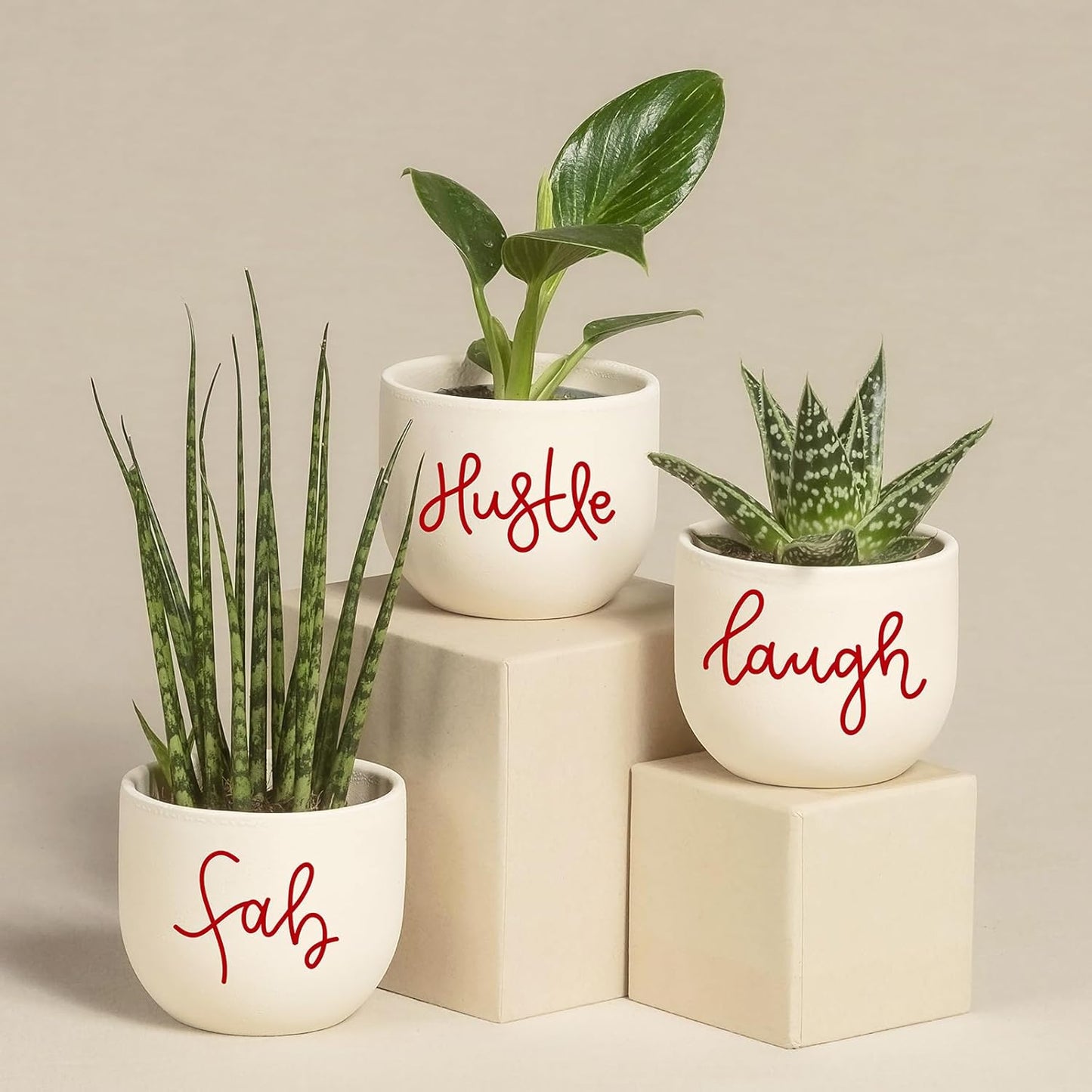 Ant Smart Adhesive Permanent Vinyl Compatible with Cricut Explore and Maker Series Without Cutting Mats, Create DIY Projects, Decals, Stickers & More (Red, 13inch x 5ft)