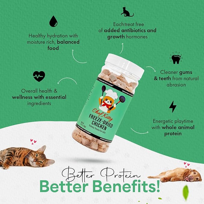 Freeze-Dried Chicken Treats for Cats & Dogs – 100% Human Grade, Single Ingredient, High-Protein, Healthy Snack – No Additives or Preservatives – 1.7oz - Inspected & Tested in USA