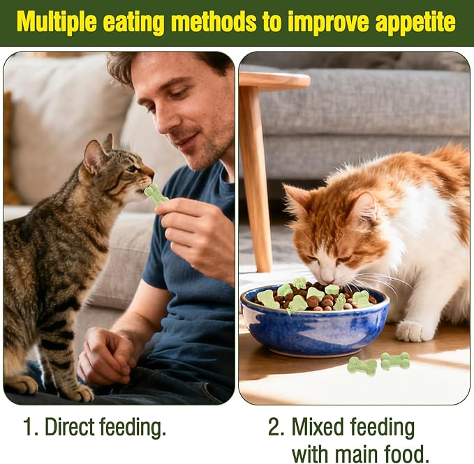 Freeze Dried Cat Chicken Salmon Treats All Natural Healthy Chewy Food Feline Bone-Shaped Snacks