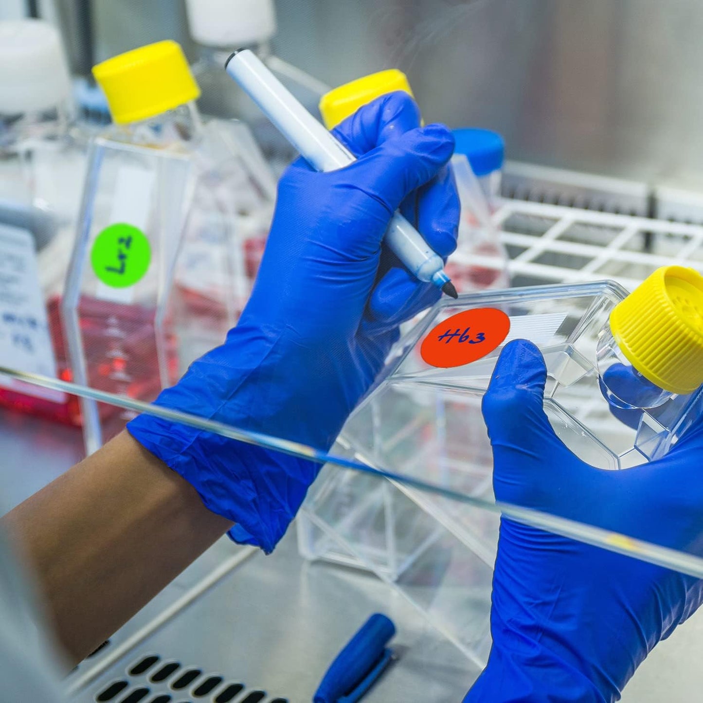 ChromaLabel 1 Inch Round Colored Stickers, High Visibility Removable Color Coding Labels, Easy to Write On Colored Sticker Dots - 1000 Stickers per Dispenser Box, Matte Finish Fluorescent Green