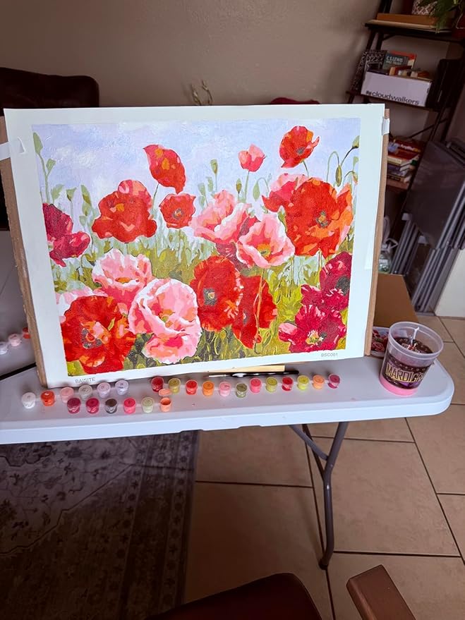 BAISITE Paint by Numbers Kit for Adults Beginners,20" Wx16 L Canvas for Painting Kits for Adults in Colorful Box Poppy Flowers-BSC001-Already Stretched on a Wooden Frame