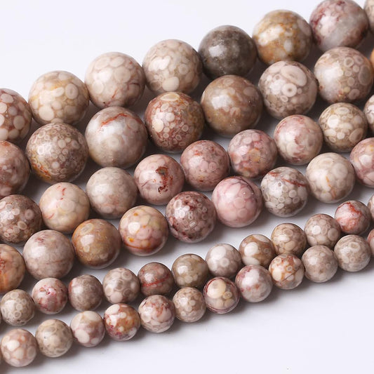 48PCS 8MM Natural Flowery Cowry Fossil Stone Beads Energy Healing Beads for DIY Jewelry Bracelet Necklace Making for Jewelry Making15Inch